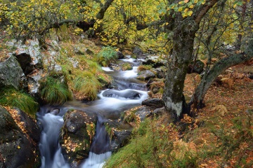 Fiume in autunno