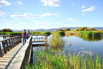 Viewing point over the lake