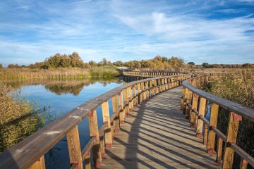 Stege zwischen der Lagune