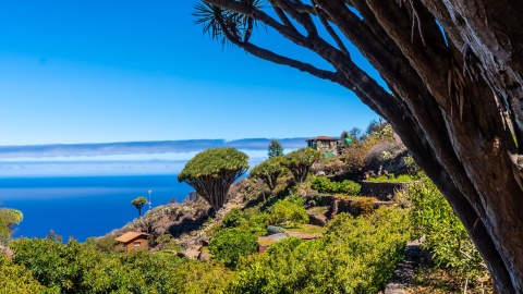  Wanderweg Las Tricias in Garafía, Insel La Palma