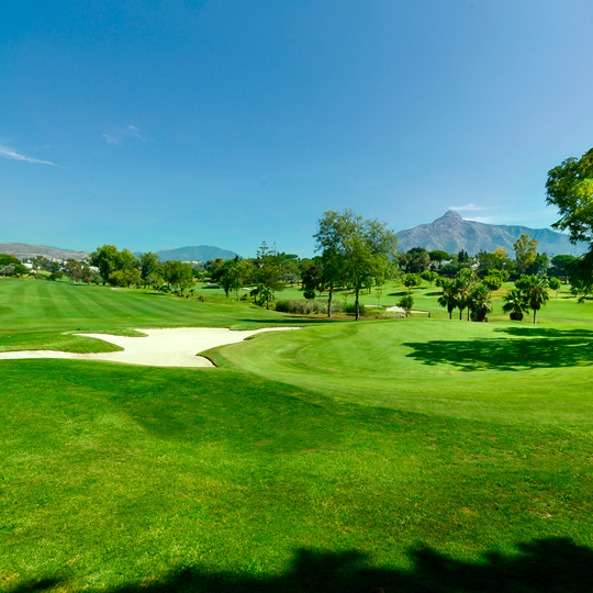 Detal Aloha Golf Club w Marbelli w prowincji Malaga, Andaluzja