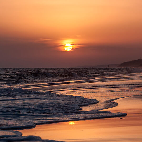 Atardecer en el Parque Nacional de Doñana