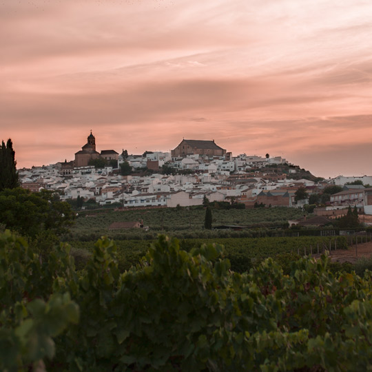 Panorama Montilla w prowincji Kordoby