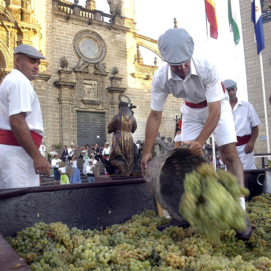 Pigiatura dell'uva nella vendemmia di Jerez 