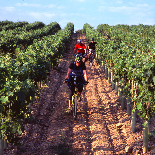 Cicloturismo entre vinhedos em Barbastro 