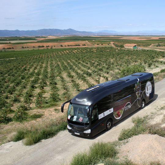 Autobús de la Ruta del Vino de Cariñena