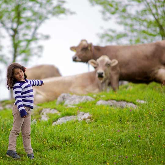 Agritourisme en famille dans les Asturies