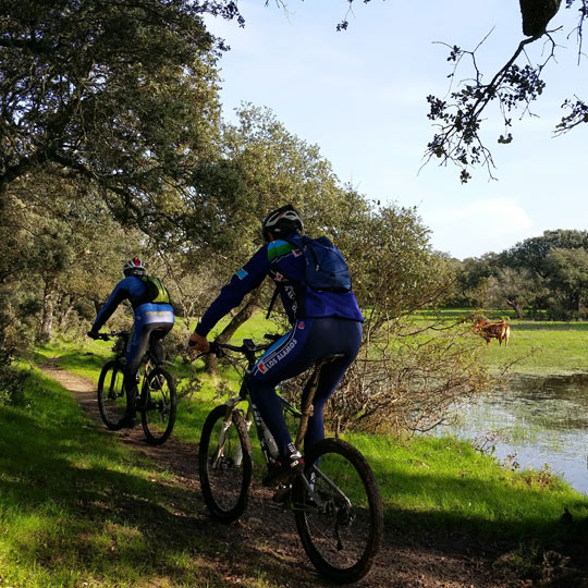 Cyclistes sur la Route de l'Argent à son passage dans les Asturies