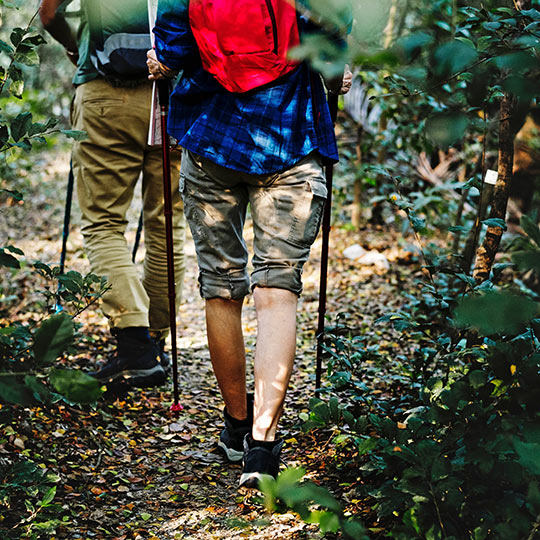 Hikers.