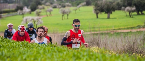 Sol Meia Maratona de Magaluf © Rafa Babot. Imagens cedidas por ICE Institut Calvianer d