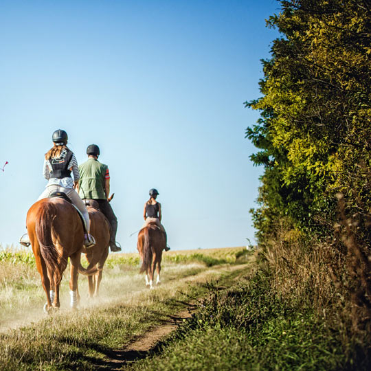 Le chemin de Compostelle à cheval