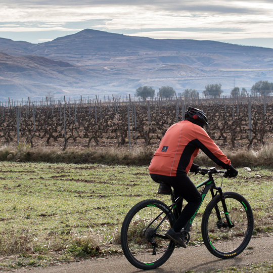 Szlak pielgrzymkowy Camino de Santiago i szlak wina w La Rioja Oriental