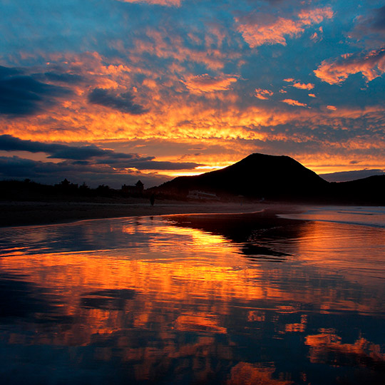 Santoña marshes