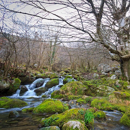 Wasserfall an der Quelle des Flusses Asón. Kantabrien