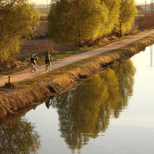 Nature activities along the Cigales Wine Route