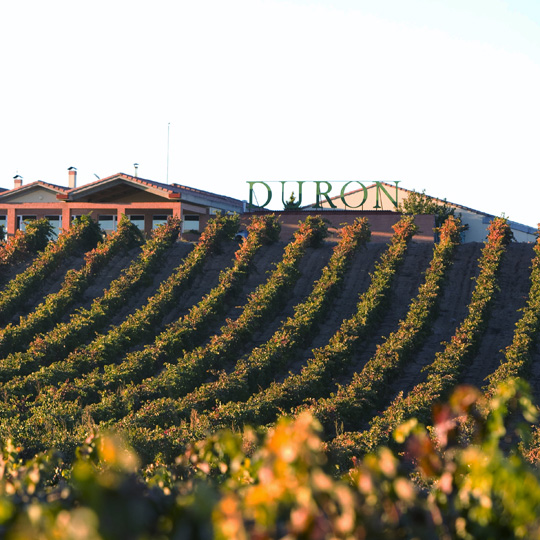 Bodegas Durón, de la Ruta del Vino Ribera del Duero