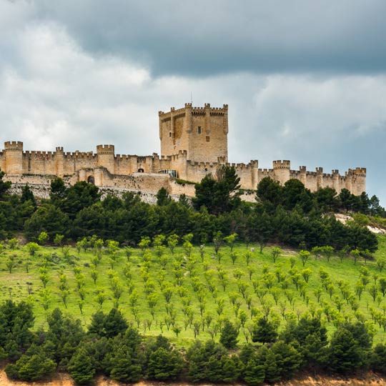 Château de Peñafiel, Valladolid (Castille-León)