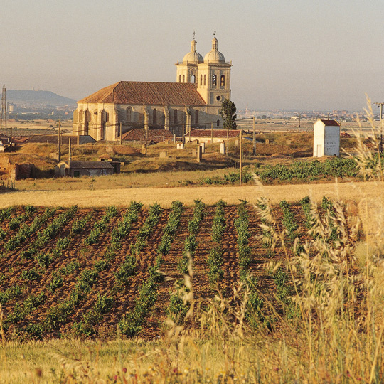 Cigales and its vineyards