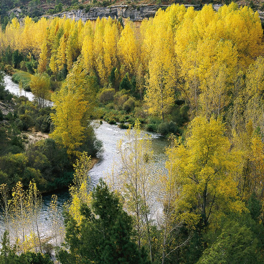 Parco di Alto Tajo, Guadalajara