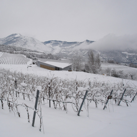 Cantina Castell d'Encus