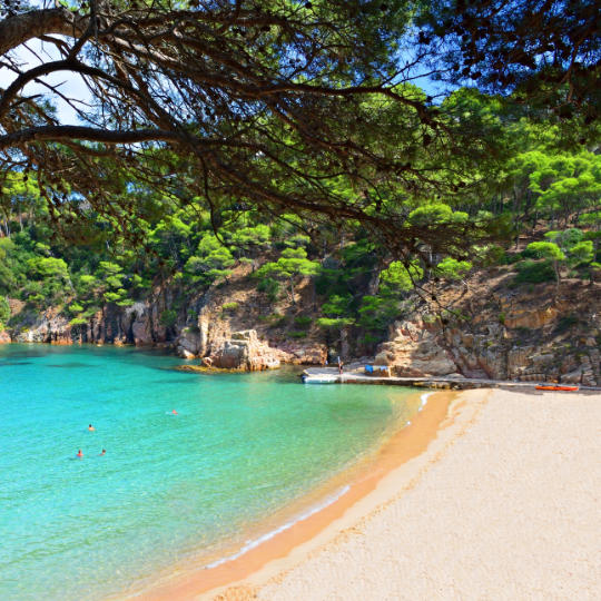 Widok na plażę Aiguablava w Begur, Girona