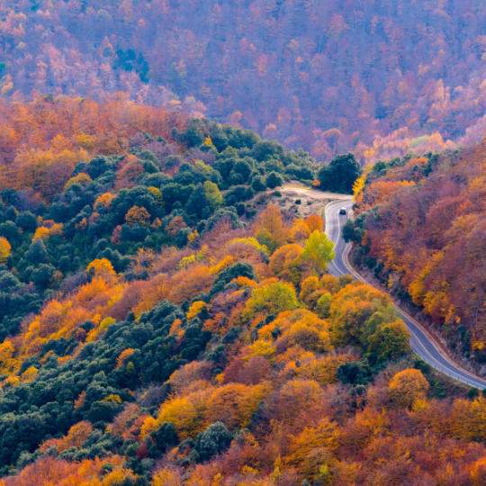 Parque Natural del Montseny entre las comarcas del Vallès Oriental, La Selva y Osona, Cataluña.