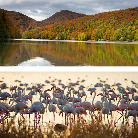 Oben: Irati-Stausee © Gaizka Bilbao. Unten: Flamingos im Doñana-Nationalpark