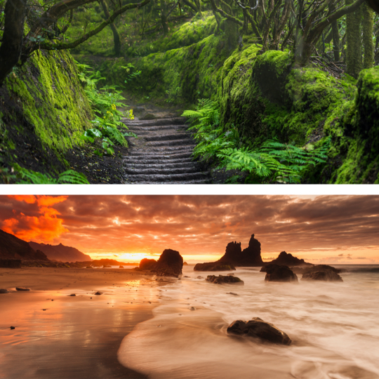 Sopra: sentiero nel Parco rurale di Anaga, Tenerife / Sotto: spiaggia di Benijo a Santa Cruz de Tenerife