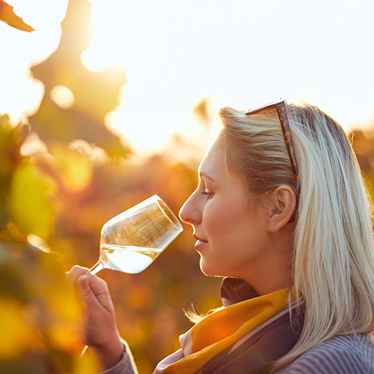 Ragazza mentre degusta vini