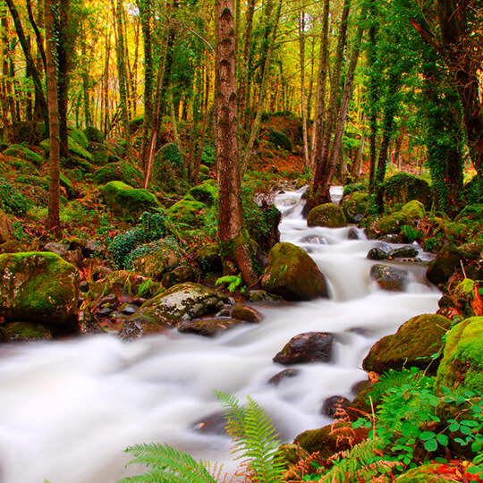 Ambroz-Fluss im gleichnamigen Tal (Extremadura)