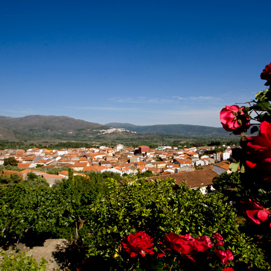 Vue du village de Valverde del Fresno