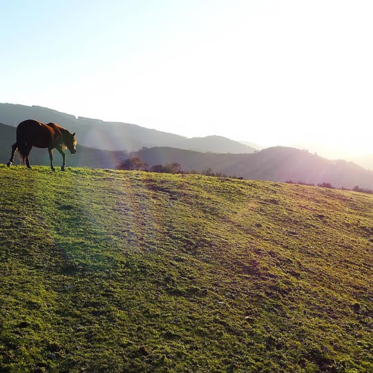 O Courel, province de Lugo