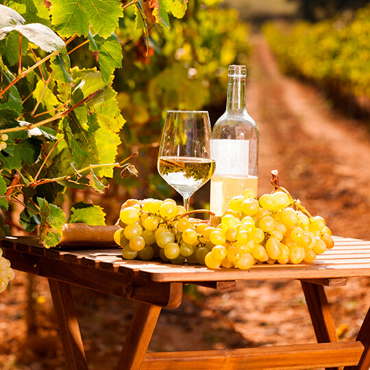 Weintrauben und Weißwein zwischen Weinbergen.