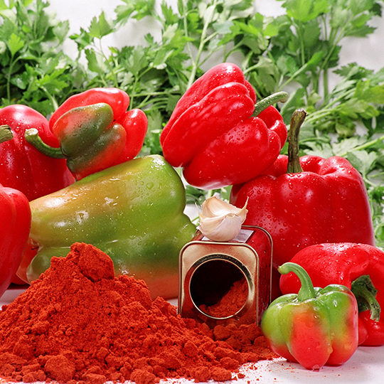 Paprika und Gewürzpaprika „Pimentón de la Vera“.