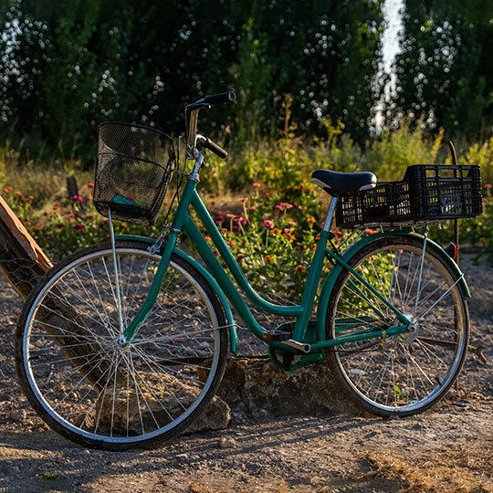  Une bicyclette dans un potager