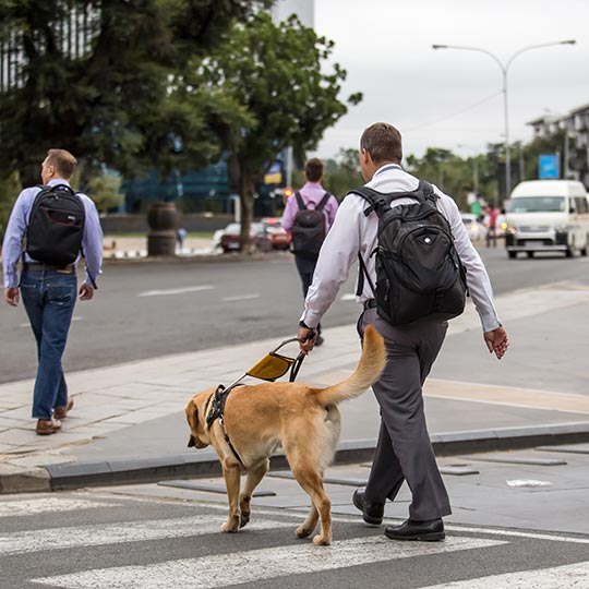 Non vedente con cane guida che attraversa la strada