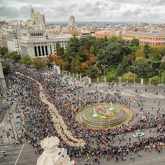 Vue aérienne de la transhumance dans la région de Madrid