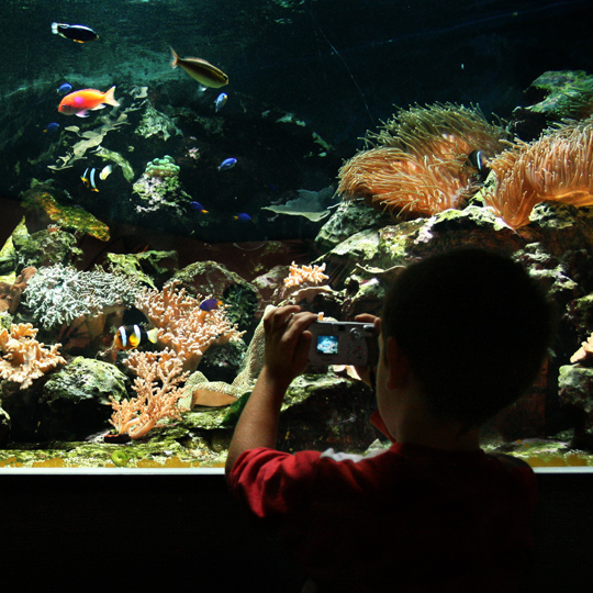 Madrid Zoo Aquarium