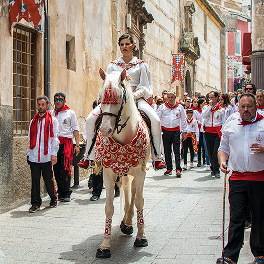 Caballos del Vino w Caravaca de la Cruz, w Murcji