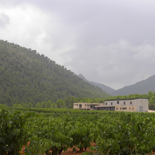 Lagar en la Ruta del Vino de Bullas 