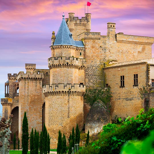 Castillo - Palacio de Olite, Navarra