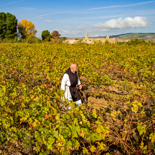 Vigneti della Ribera Alta con il Monastero dell’Oliva sullo sfondo a Carcastillo, Navarra