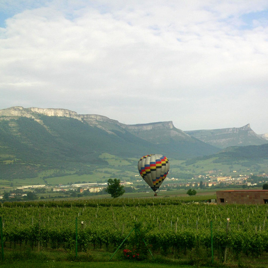 Viaje en globo en una bodega de la ruta