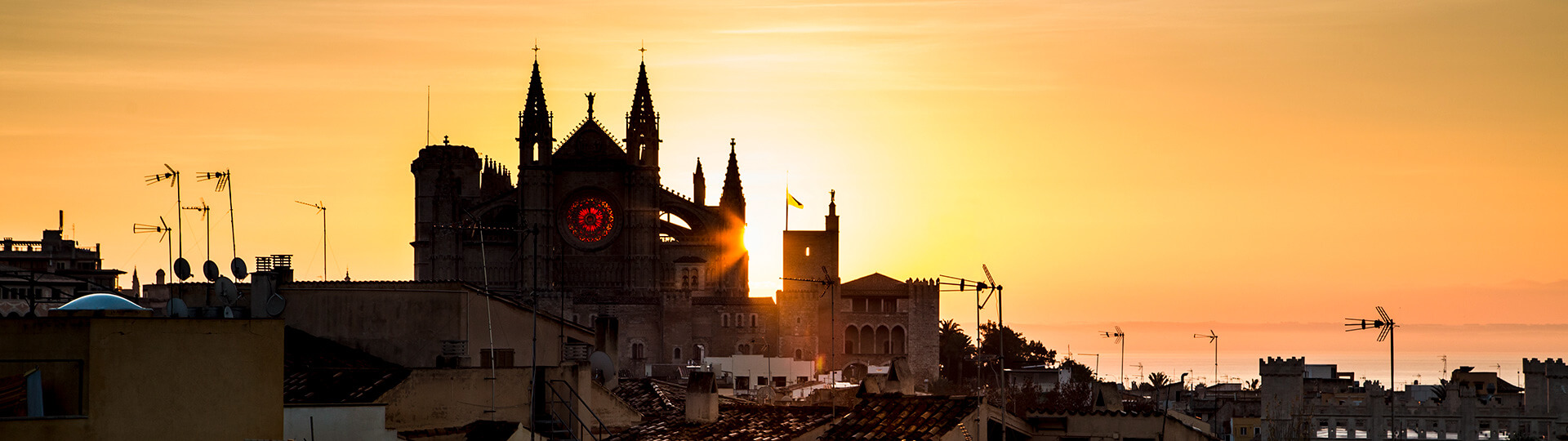 Catedral de Palma de Mallorca al atardecer