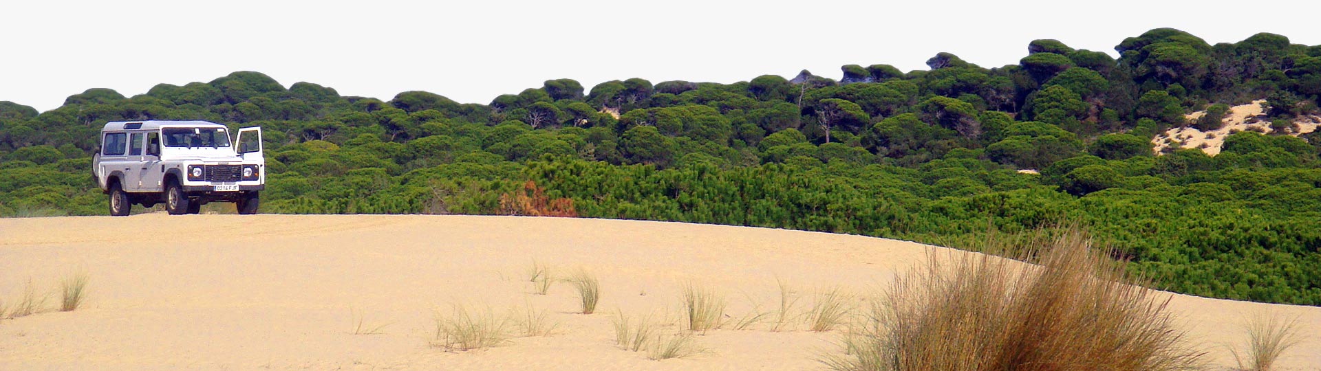 Samochód terenowy w Parku Narodowym Doñana, Huelva (Andaluzja)