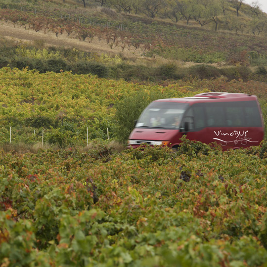 Vinobus touristique