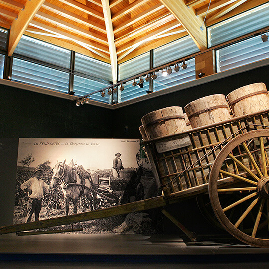 Museum of Wine Culture, Bodegas Vivanco in Briones, La Rioja