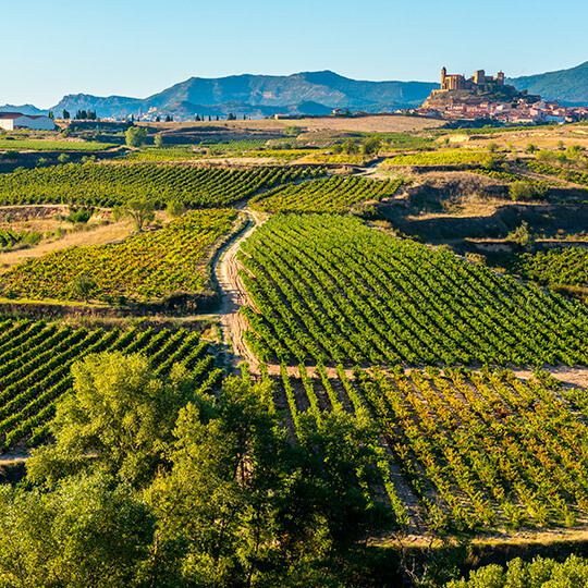 Vigneti a San Asensio. Veduta di San Vicente de la Sonrierra a La Rioja