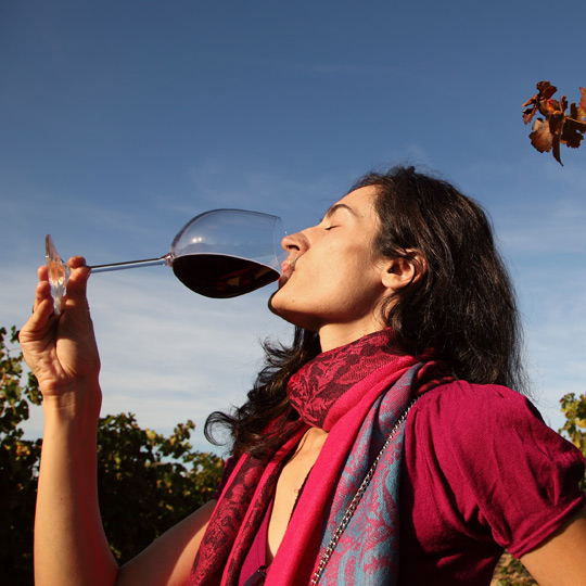 Tasting at the Pago de Tharsys Winery in Requena 