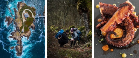 Links: Leuchtturm Ribadeo / Mitte: Pilger im Wald von Galicien / Rechts: Tintenfischgericht